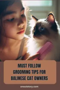 Balinese Cat Grooming Tips