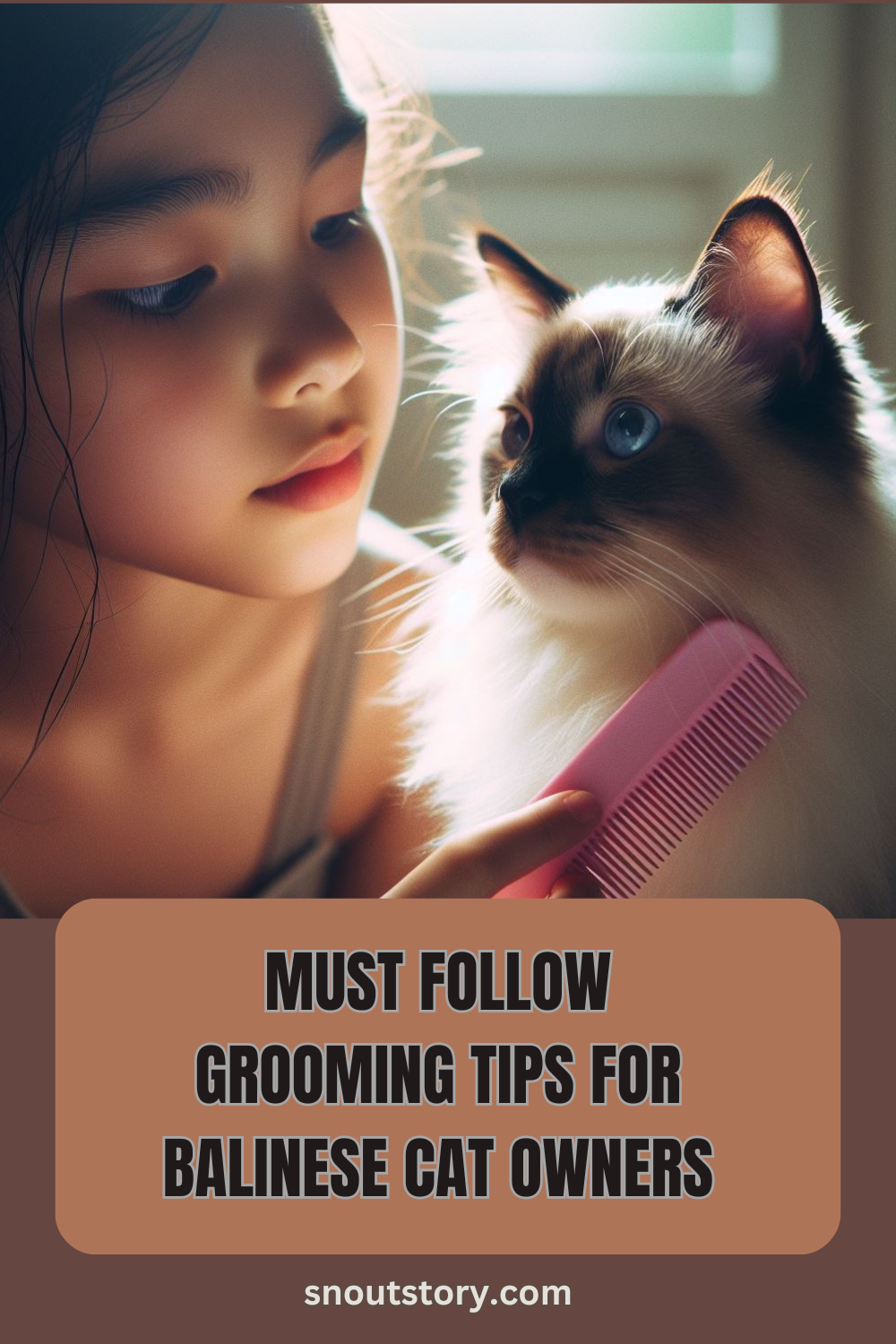 Essential Grooming Tips for Balinese Cat – Everything a New Owner Must Know