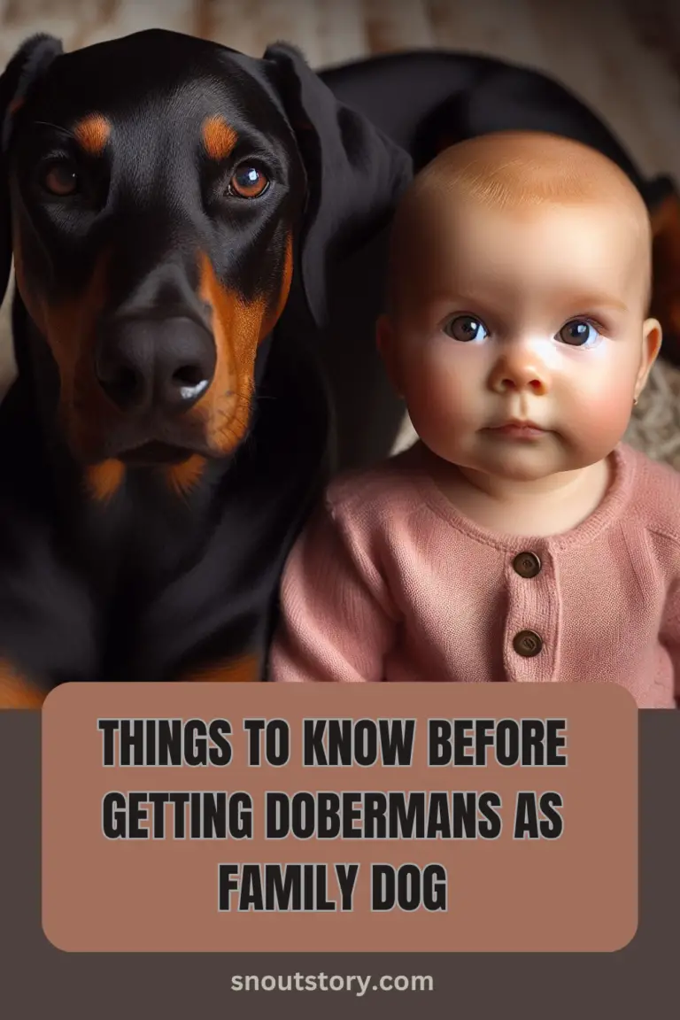 Doberman Temperament and Traits