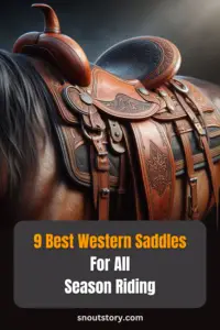 9 Best Western Saddles
