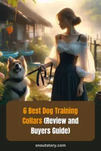 6 Best Dog Training Collars