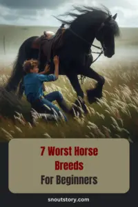 7 Worst Horse Breeds For Beginners