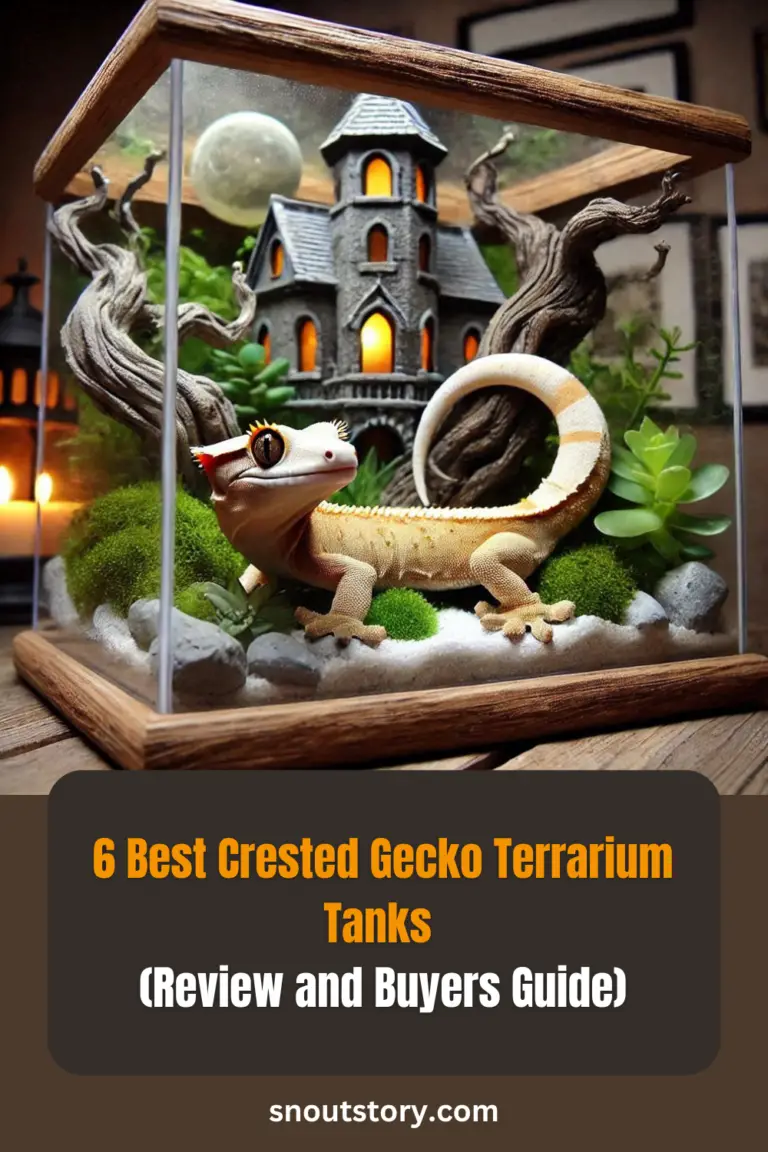 6 Best Crested Gecko Terrarium Tanks (Review and Buyers Guide)