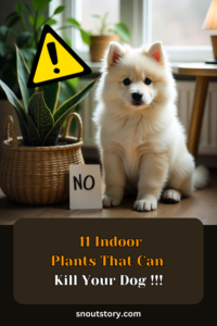 11 Indoor Plants That Can Kill Your Dog