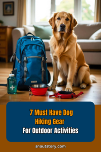 7 Must Have Dog Hiking Gear For Outdoor Activities