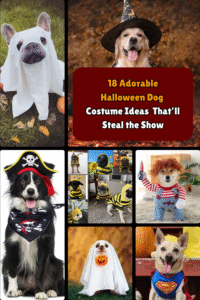 18 Adorable Halloween Dog Costume Ideas That’ll Steal the Show